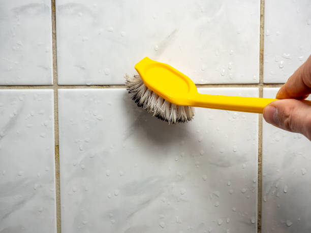 Best Fast Mold Removal  in Vergennes, VT