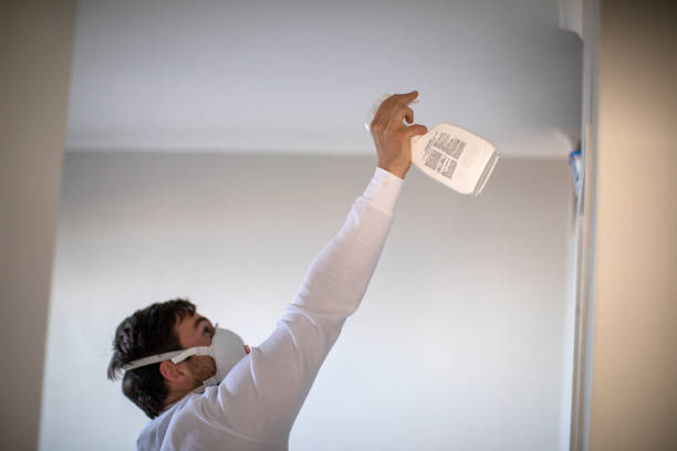 Best Toxic Mold Removal  in Vergennes, VT