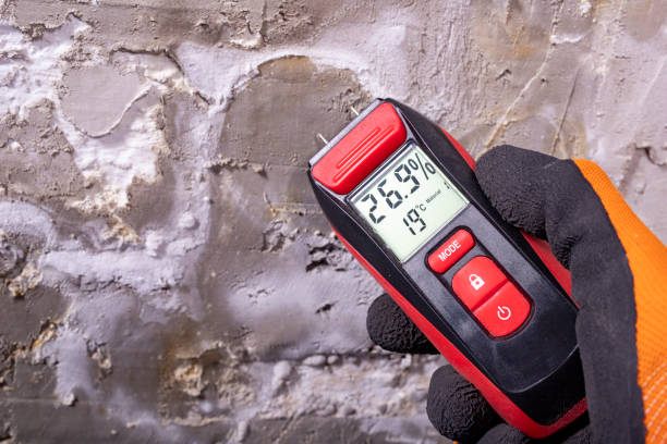 Best Home Mold Removal  in Vergennes, VT