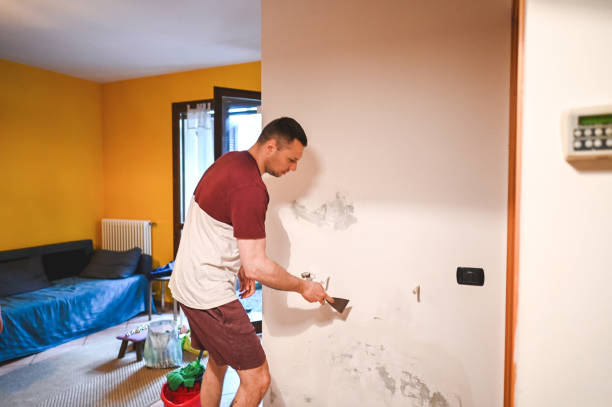 Best Best Mold Removal Companies  in Vergennes, VT